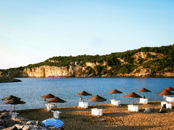 Empowering Recovery: The Role of UK Occupational Therapists in Rehabilitating Adults with Traumatic Brain Injuries